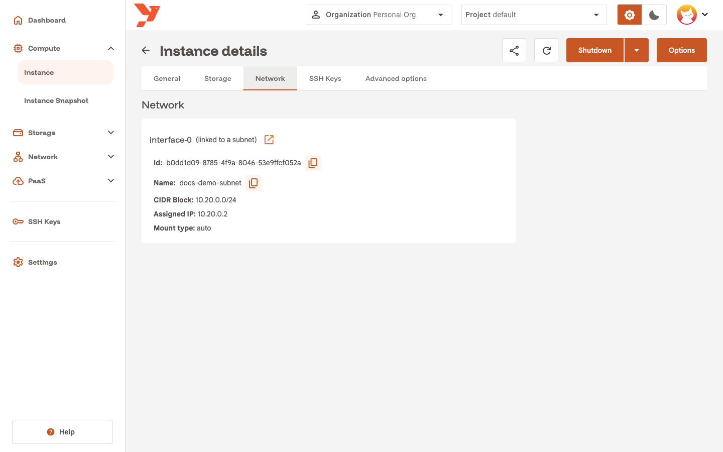 Network tab showing the assigned IP